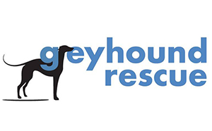 Greyhound Rescue Greyhound Rescue