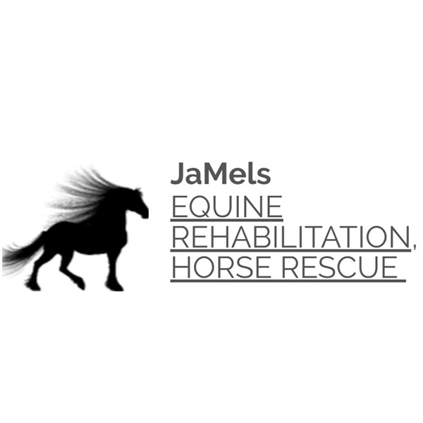 Jamels Equine Rehabilitation & Horse Rescue Jamels Equine Rehabilitation & Horse Rescue