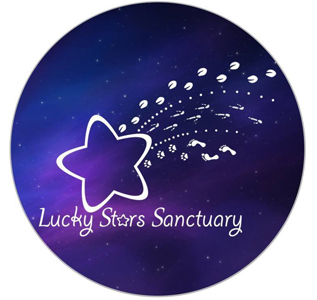 Lucky Stars Sanctuary Lucky Stars Sanctuary