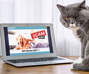 Fighting online pet scams - Pet Scam List