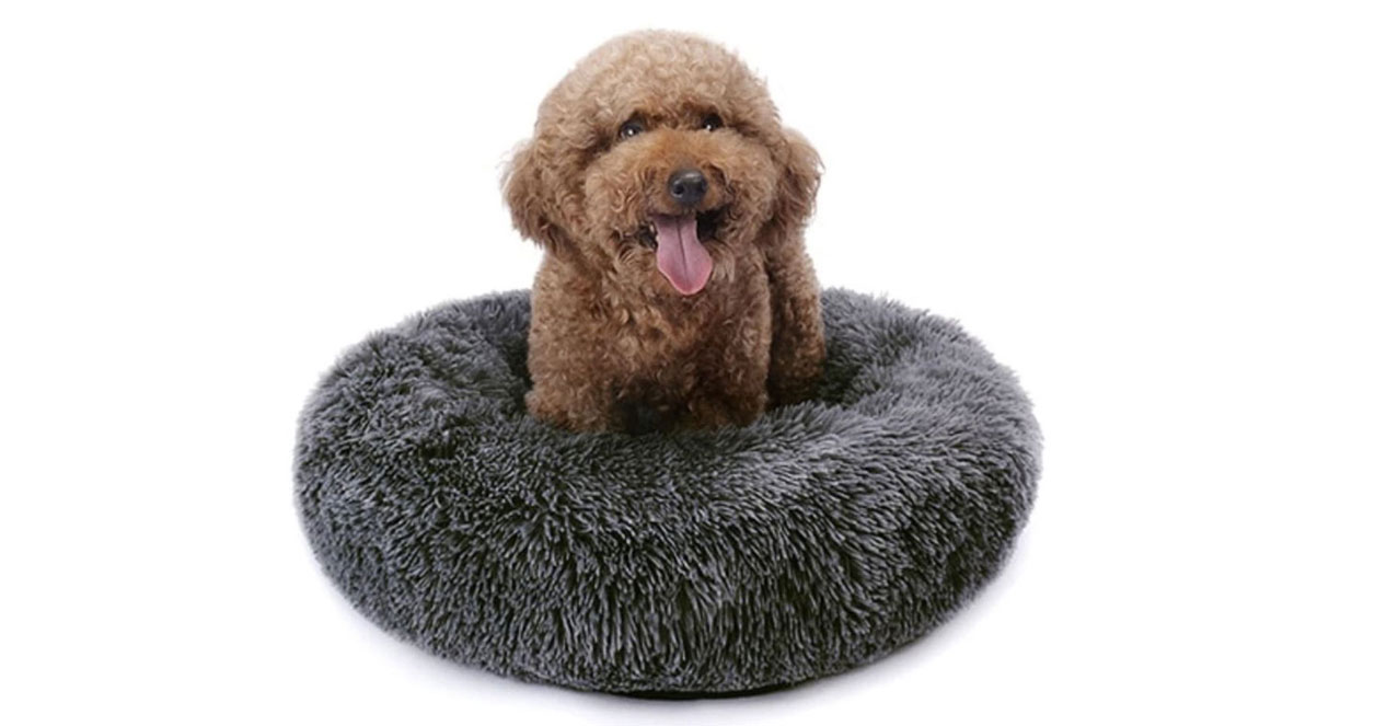 Best Dog Beds 2020