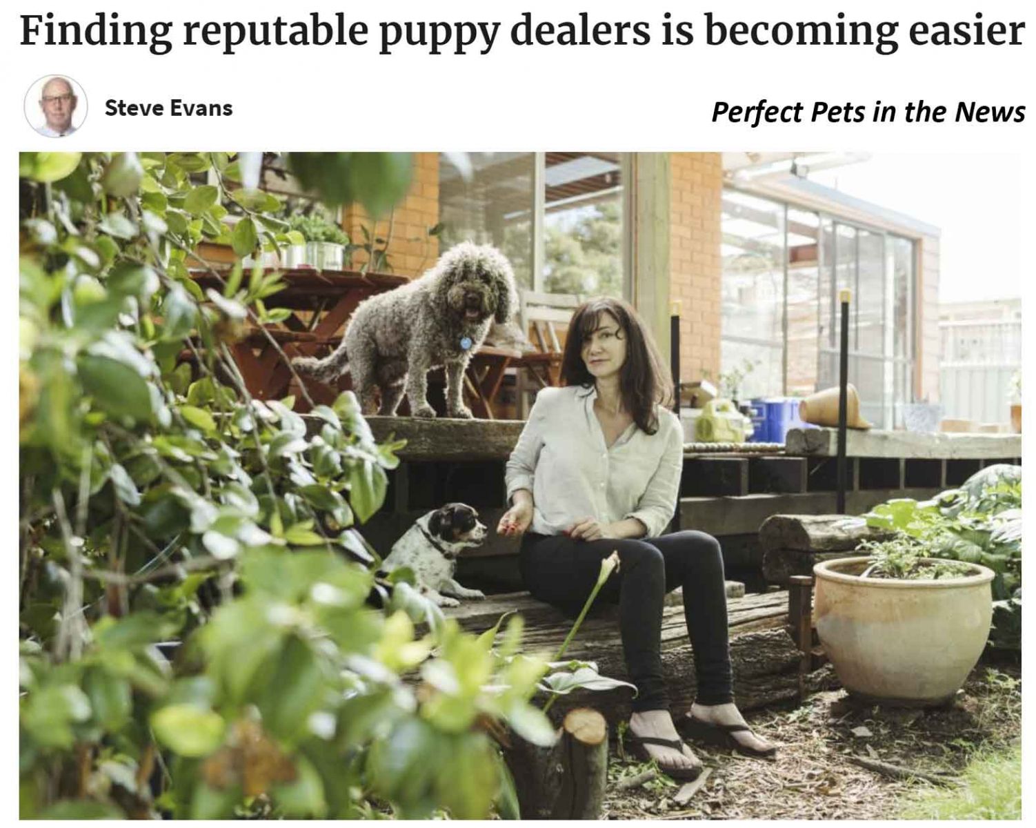 Finding reputable breeders 