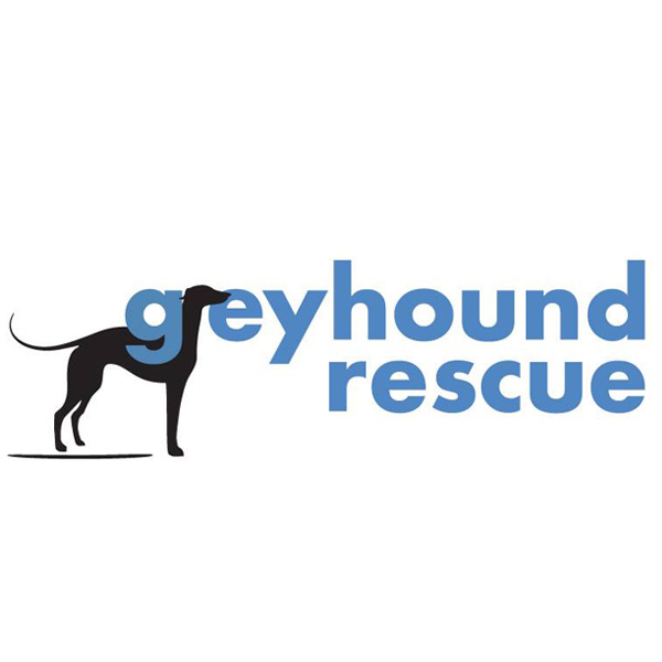 Greyhound Rescue Greyhound Rescue