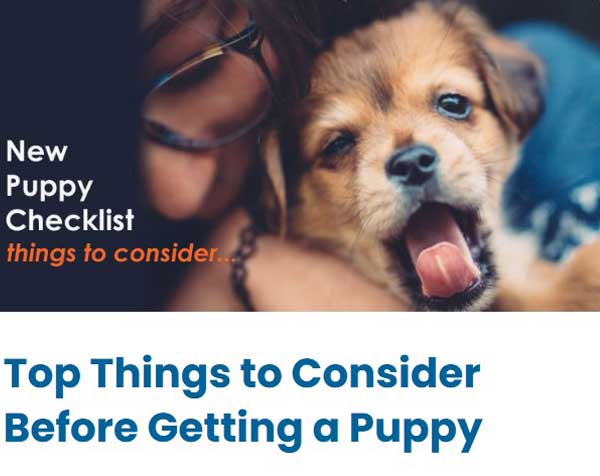 Top Tips New Puppy New Puppy Checklist
