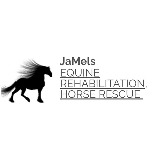 Jamels Equine Rehabilitation & Horse Rescue
