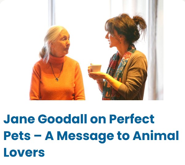 Jane Goodall talks about Perfect Pets Jane Goodall talks about Perfect Pets