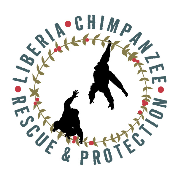 Liberia Chimpanzee Rescue 