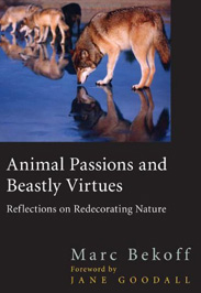 Animal Passions and Beastly Virtues - Marc Bekoff