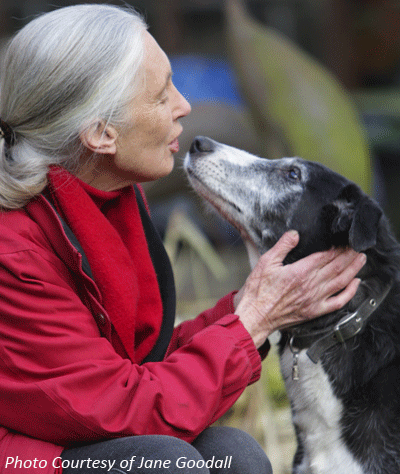 Jane Goodall & family dog Astro