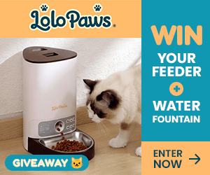Lolopaws Water Fountain Ad Lolopaws Water Fountain Ad