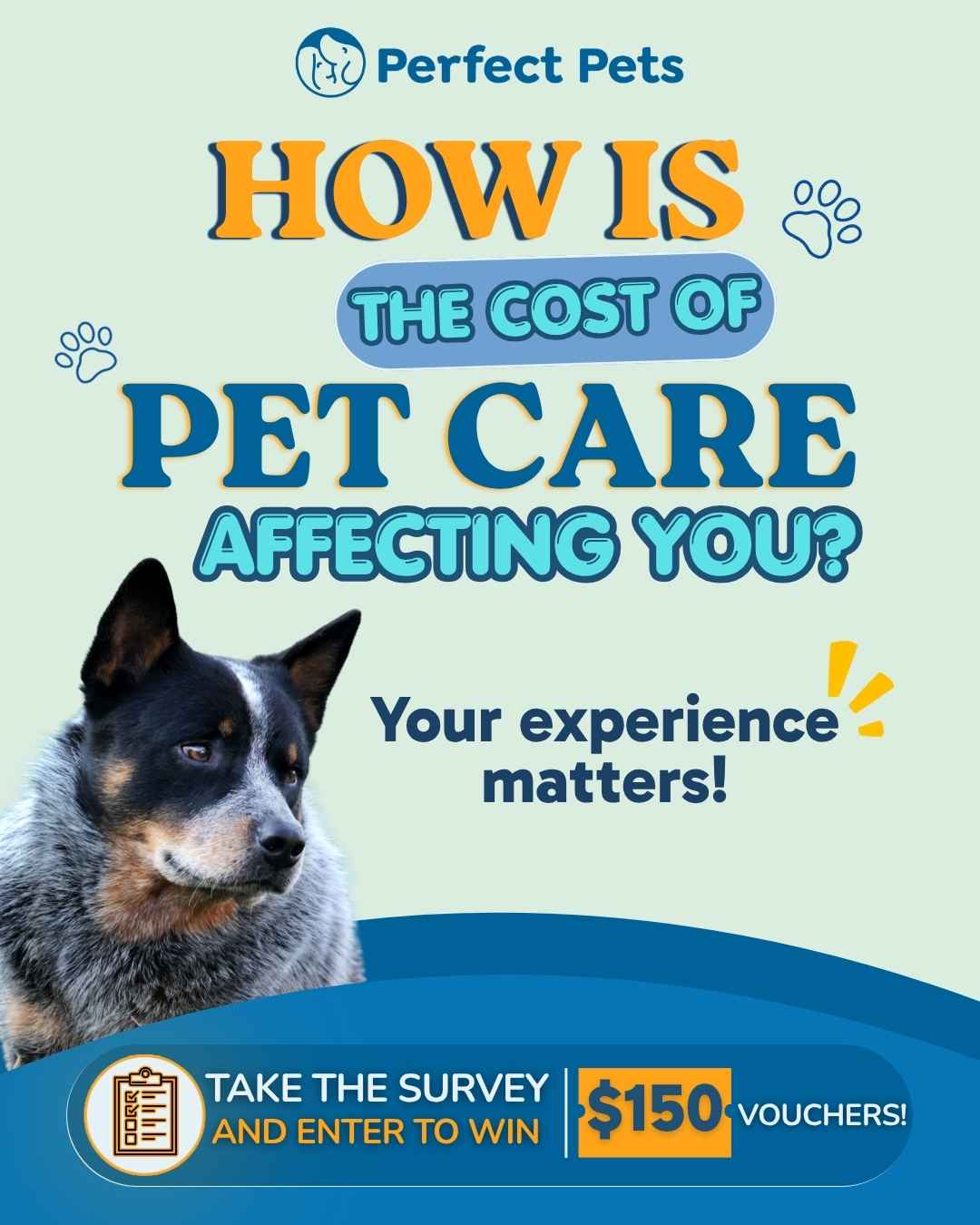 Pet Care Survey Pet Care Survey