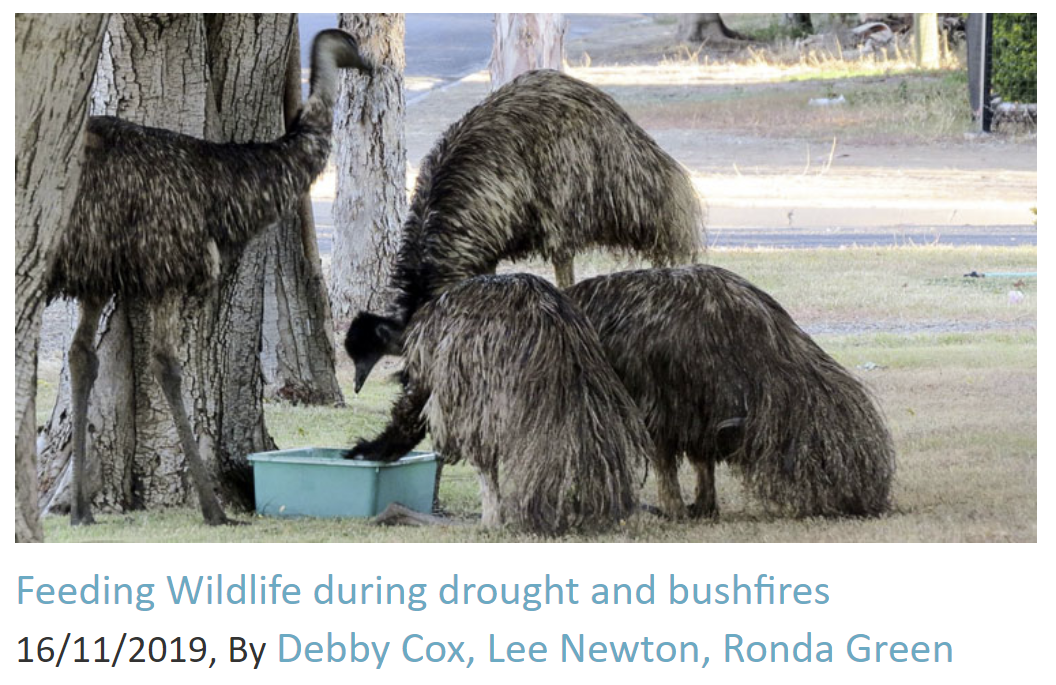 Feeding wildlife during drought and bushfires